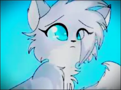 Quel est son pouvoir ?