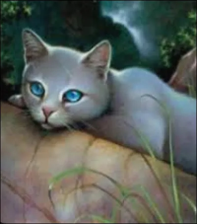 Qui essaie-t-il de sauver d'une noyade dans le lac ?