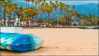 Pourquoi Noah déménage-t-elle en Californie ?