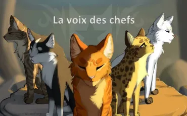 Quiz La guerre des clans
