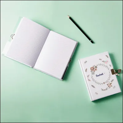 Est-ce que tu écris dans ton journal intime ?