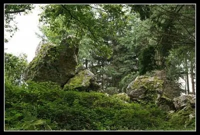 A combien est son point culminant ?