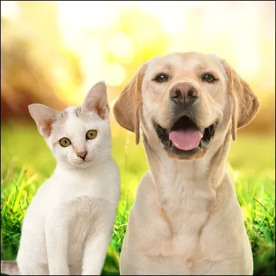 Tiens ! Mais qui voilà en image ?