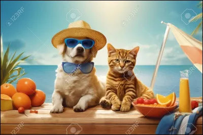 Il y a un grand débat sur moi.