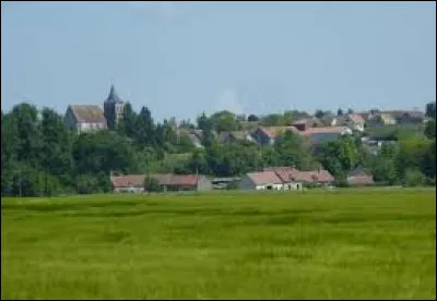 Village Seine-et-Marnais, Villenauxe-la-Petite se situe en région ...