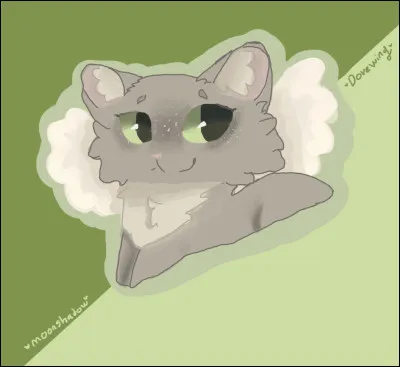 Tes sens sont-ils développés ?