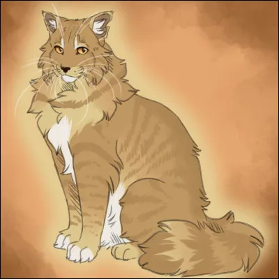 Aimes-tu combattre ?