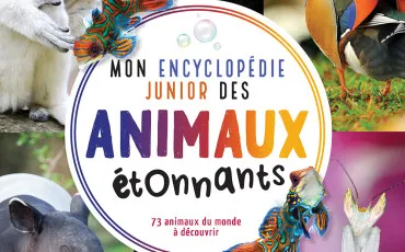 Quiz Test de personnalité