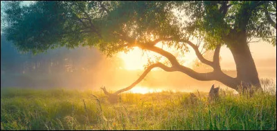 Pour commencer, aimes-tu les animaux, la nature ?