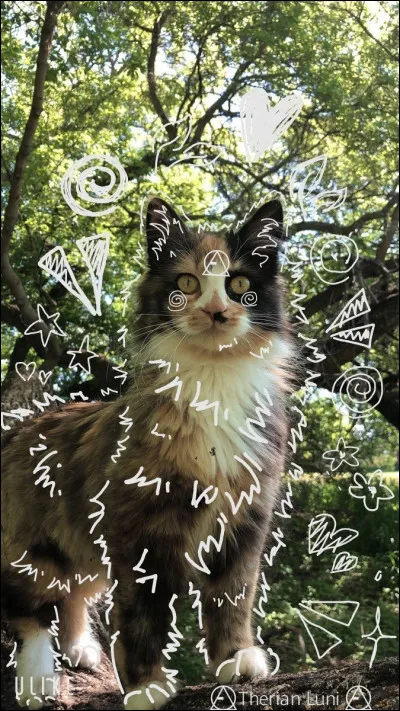 Et pour finir, aimes-tu les therians ?