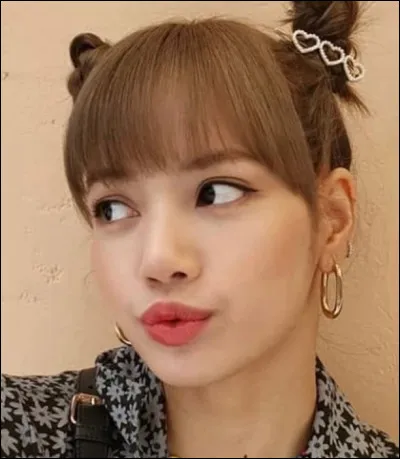 Quelles sont leurs premières chansons ?