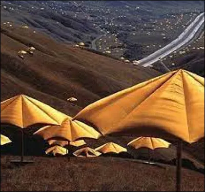 En 1991, l'artiste Christo et son épouse Jeanne-Claude font planter au Japon et en Californie environ...