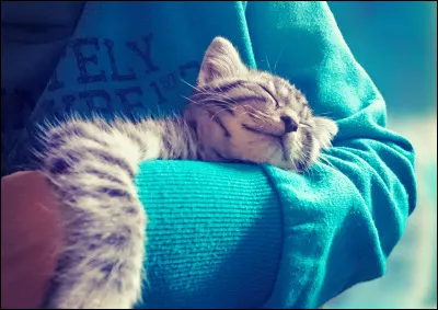 Trouves-tu cette image jolie ?