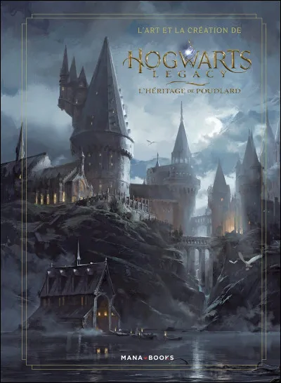 Quel est le nom de l'école que fréquente Harry Potter ?