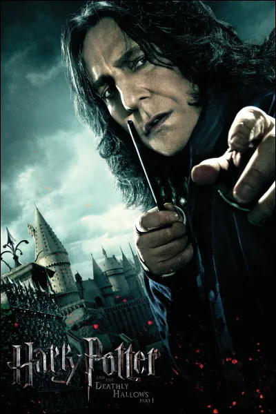 Comment s'appelle le professeur de potions à Poudlard lors de la première année de Harry ?