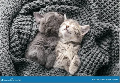 Où préfères-tu dormir ?