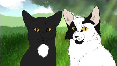 Comment es-tu avec les autres chats ?