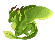 Quiz Tous les Ailes de Feuille !