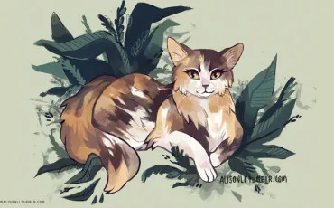 Quiz Littrature, posie