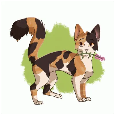 Salut et bienvenue sur ce quiz ! Enfin, commençons.

Quel est le nom de chaton de Petite Feuille ?