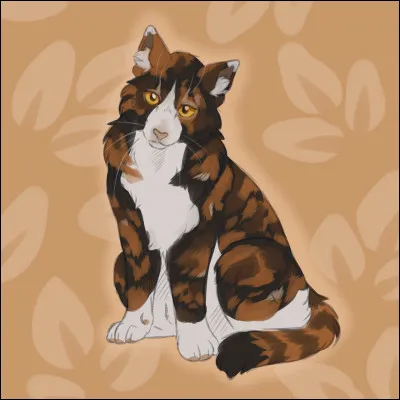 Quelle est la traduction de son nom en anglais ?