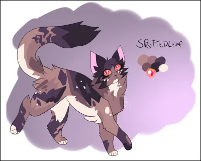 Qui ont été ses mentors ?