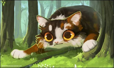 Qui ont été les chats nés dans la même portée qu'elle ?