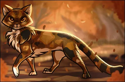 Quelles citations viennent de Petite Feuille ?