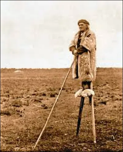 Savez-vous ce qu'est une pelisse ?