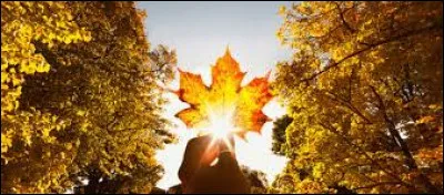 Quand s'est réellement terminée la deuxième Guerre mondiale ?