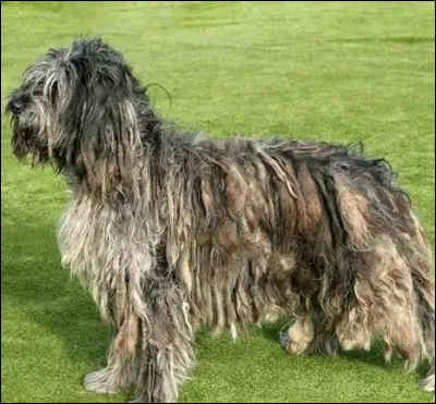 De qui, Yukio Mishima nous donne-t-il la confession, en 1949 ?