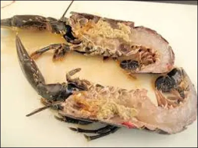 Comment s'appelle l'un des plus grands &eacute;tablissements thermaux construits &agrave; Budapest en 1913 ?