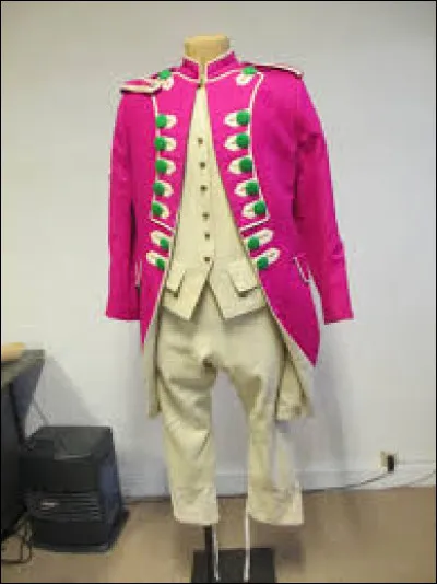 Le mot Balaton &eacute;voque un site g&eacute;ographique, de quoi s'agit-il ?