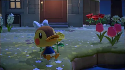 Qui est ce mignon petit canard ?