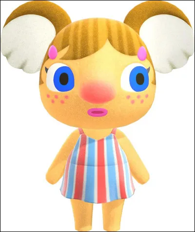 Qui est ce koala ? 🐨