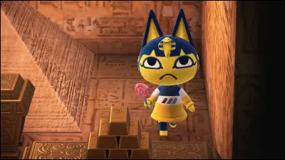 Qui est ce beau chat ?