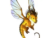 Quiz Tous les Ailes de Gupe !