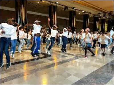 Couronn&eacute;e de guirlandes,accompagn&eacute;e de lyre, harpe et viole ;attention, voila qu'elle s'envoleen courant dans la lande.De quoi Terpsichore est-elle la muse ?