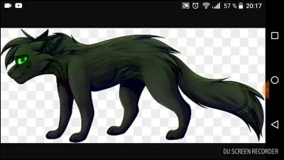 Feuille de Houx a tué un chat... Mais lequel ?