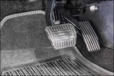 Qu'est-ce que la mycologie ?