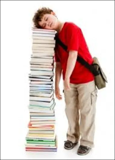 Quelle est la particularité des oiseaux ?