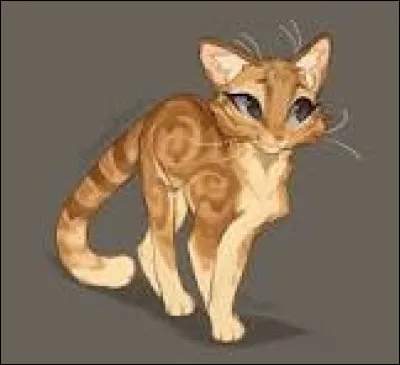 As-tu le souffle court ?