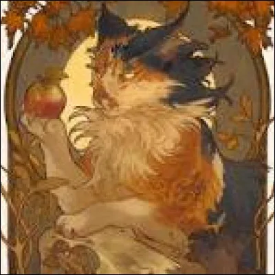 Quel moment de la journée préfères-tu ?