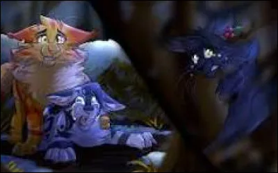 Est-ce que tu pleures souvent ?