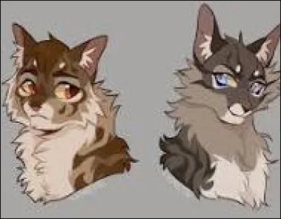 Envers les inconnus, tu es plutôt...