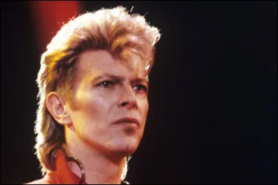 Qui est ce chanteur britannique, auteur de la chanson ''Sue (Or in a Season of Crime)'' ?