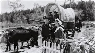 Dans cet autre film de John Ford qui se déroule en Nouvelle Angleterre au moment de la guerre d'indépendance, la ferme des héros - Lana et Gilbert - est la première à être brûlée : c'est ...