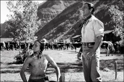 Dans ce film d'Anthony Mann, un sergent-major de l'armée nordiste, d'origine shoshone, est de retour dans son village natal à la fin de Guerre de Sécession : c'est ...