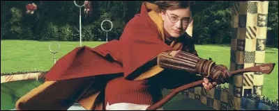 Qui meurt dans le tome 6, le prince de sang-mêlé ?