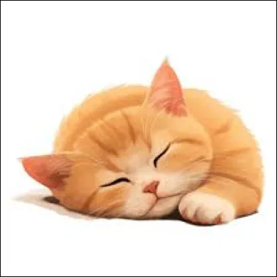 Quelle est ta couleur préférée ? (1)